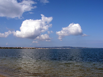 Cussorgia